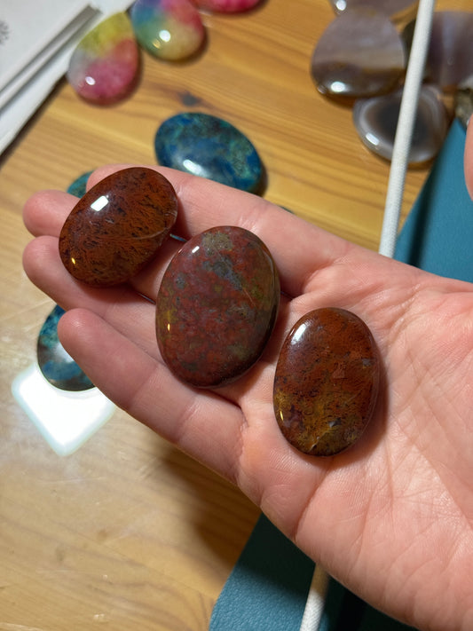 z - Scenic 3 Red Moss Agate's