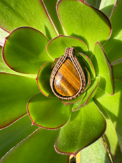 Tiger Eye Wrapped in Copper